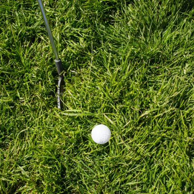 Golf ball in the grass on a sunny day at the golf course